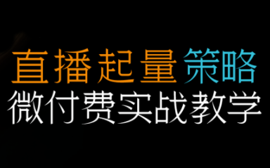 半野老师·直播带货起量与微付费必学课视频号-资源宝库