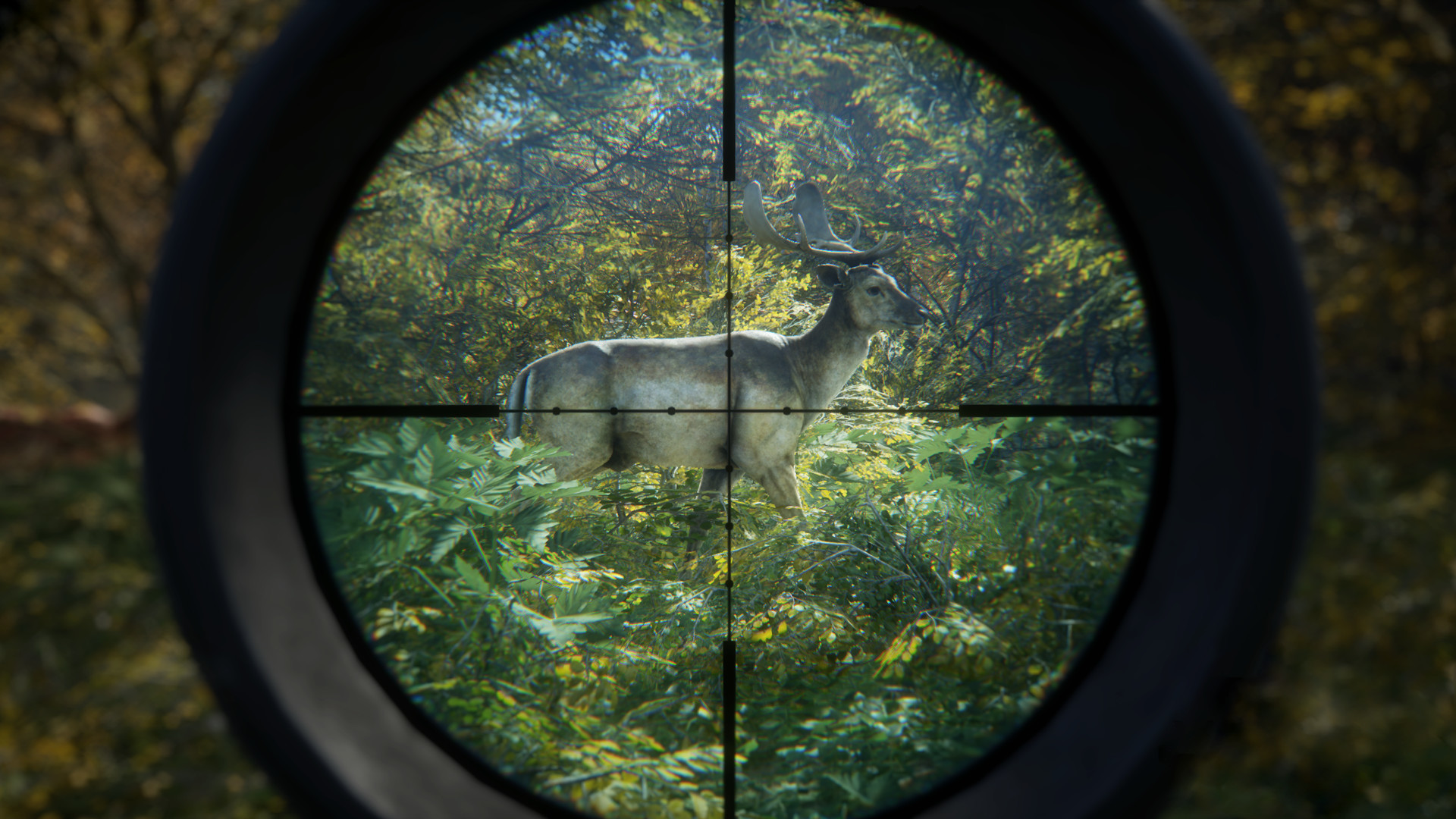 《猎人：荒野的召唤/theHunter: Call of the Wild》PC中文版下载-含v3101875-资源宝库