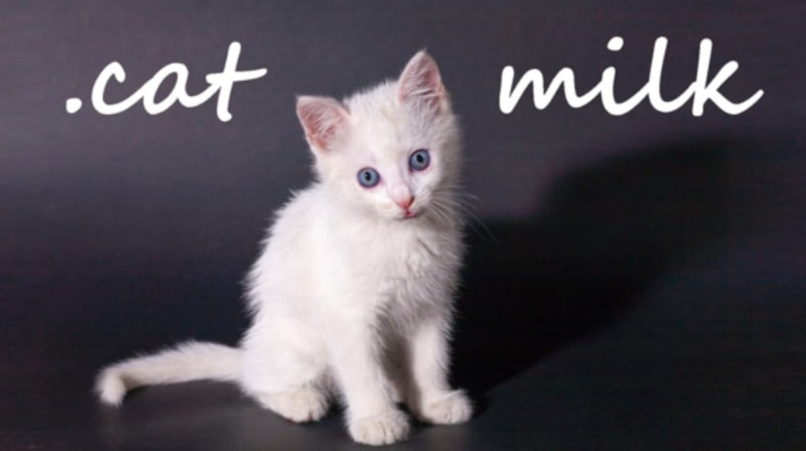 《小奶猫 .cat Milk》Switch英文版NSP下载-资源宝库