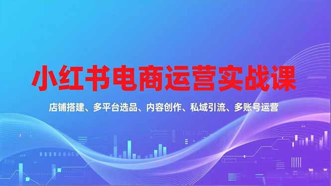 小红书电商运营实战课，店铺搭建、多平台选品、内容创作、私域引流、多账号运营等玩法-资源宝库