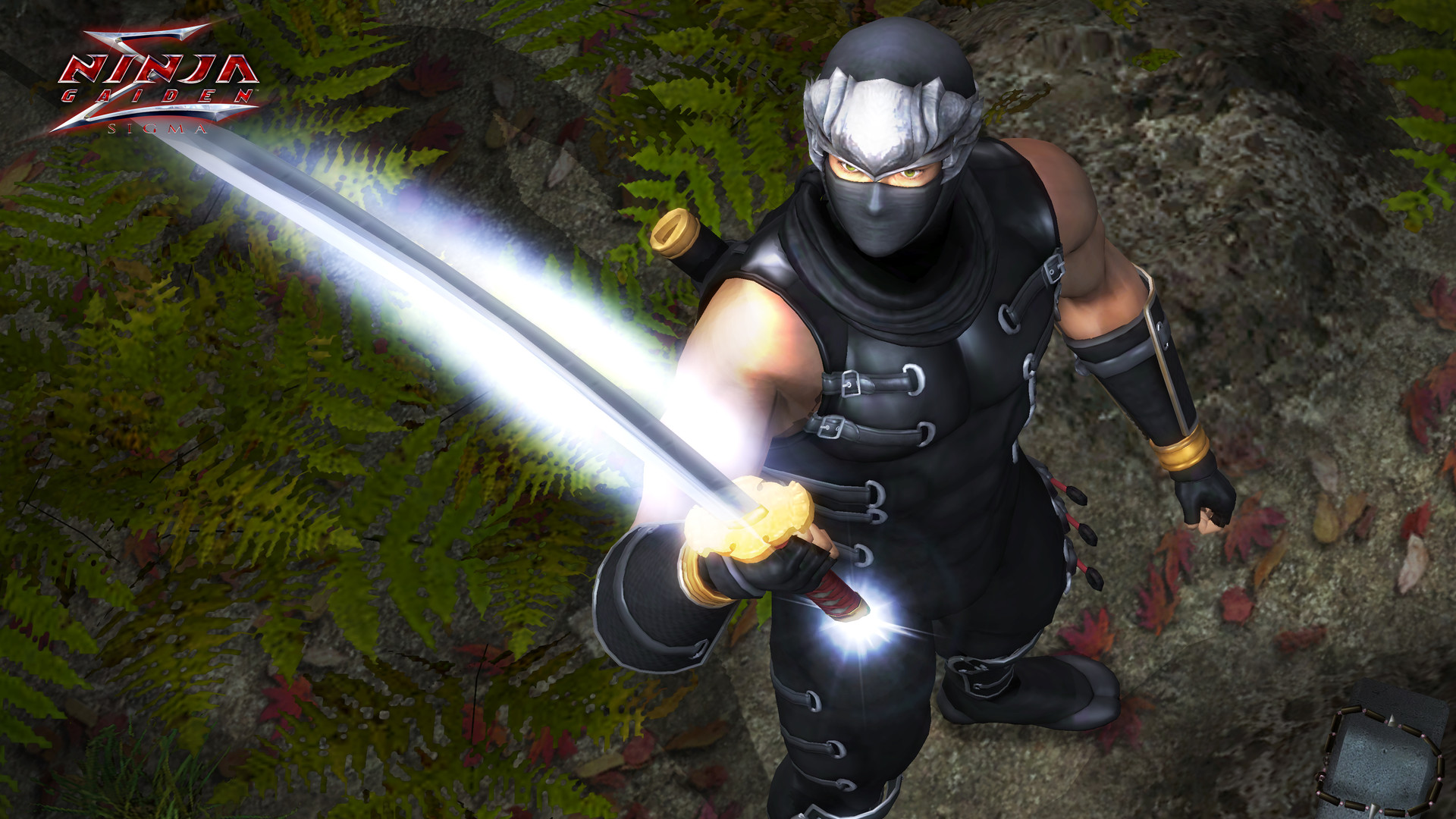 《忍者龙剑传：大师合集/NINJA GAIDEN: Master Collection》PC中文版下载-含v1.0.0.3-资源宝库