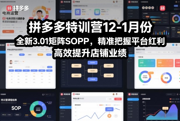 拼多多特训营12-1月份，全新3.01矩阵Sop，精准把握平台红利，高效提升店铺业绩-资源宝库