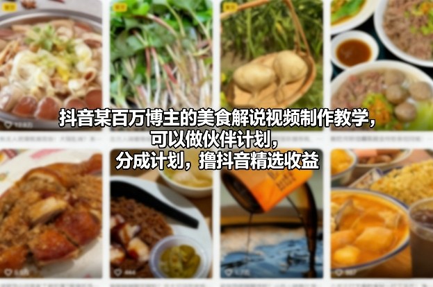 抖音某百万博主的美食解说视频制作教学，可以做伙伴计划，分成计划，撸抖音精选收益-资源宝库