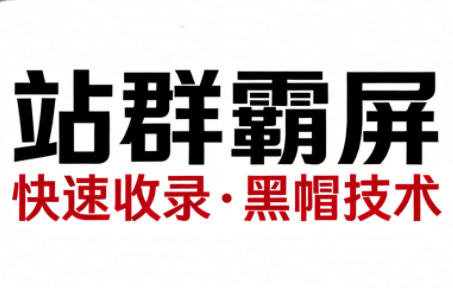 SEO野路子实战全集：快速收录、站群霸屏、黑帽技术(更新)-资源宝库
