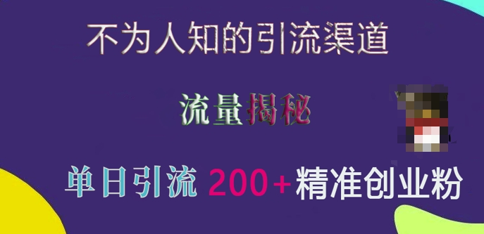 不为人知的引流渠道，流量揭秘，实测单日引流200+精准创业粉【揭秘】-资源宝库