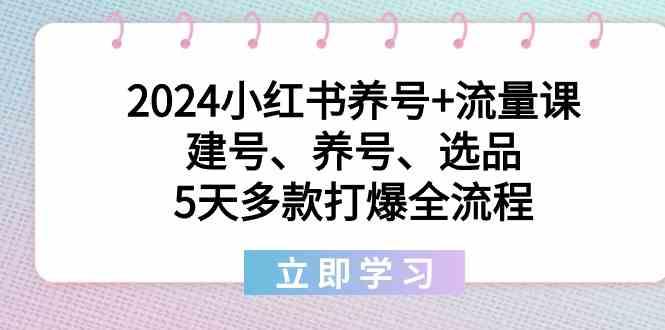 2024小红书养号+流量课:建号、养号、选品,5天多款打爆全流程-资源宝库