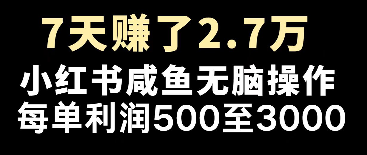 最赚钱项目之一，2025爆火，逆风翻盘！-资源宝库