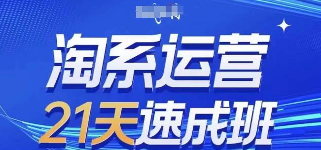 淘系运营21天速成班(更新24年6月)，0基础轻松搞定淘系运营，不做假把式-资源宝库