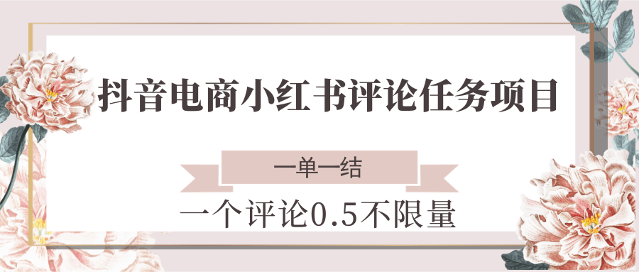 抖音电商小红书评论任务项目，一个评论0.5，一单一结 不限量-资源宝库