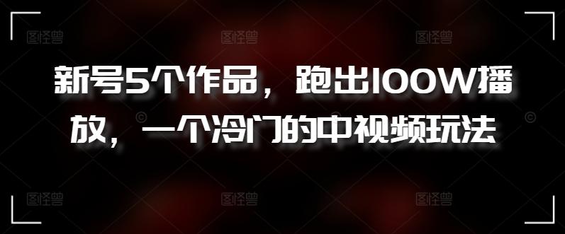 新号5个作品，跑出100W播放，一个冷门的中视频玩法【揭秘】-资源宝库
