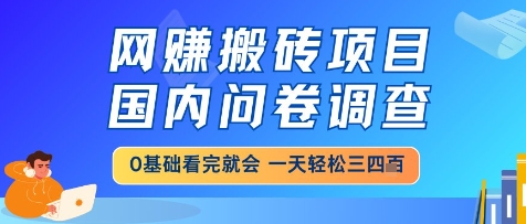 网创搬砖项目，国内问卷调查，小白轻松上手，一天三四张的也不难，干就完了【揭秘】-资源宝库
