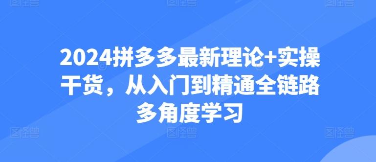 2024拼多多最新理论+实操干货，从入门到精通全链路多角度学习-资源宝库
