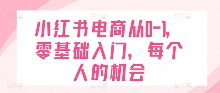 小红书电商从0-1，零基础入门，每个人的机会-资源宝库
