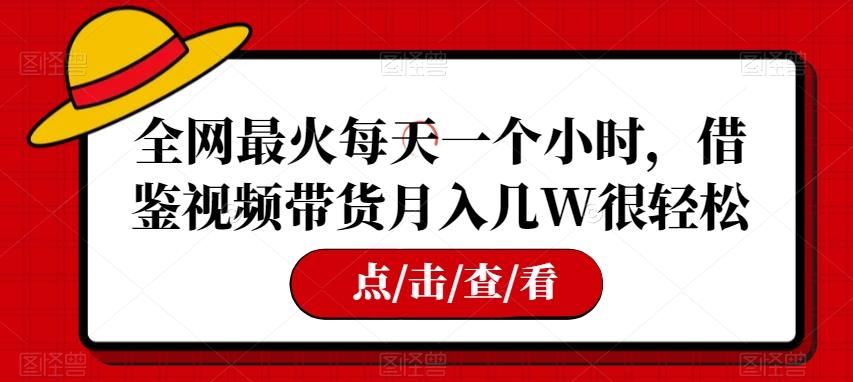 全网最火每天一个小时，借鉴视频带货月入几W很轻松【揭秘】-资源宝库
