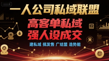 一人公司私域联盟，高客单私域，强人设成交，建私域 搞发售 广结盟 造势能-资源宝库