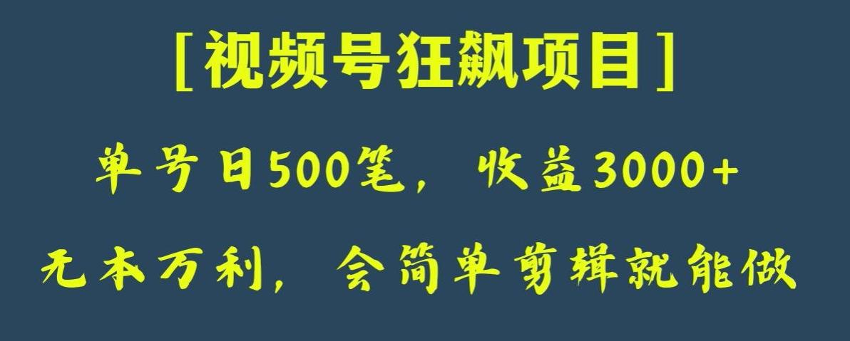 日收款500笔，纯利润3000+，视频号狂飙项目，会简单剪辑就能做【揭秘】-资源宝库