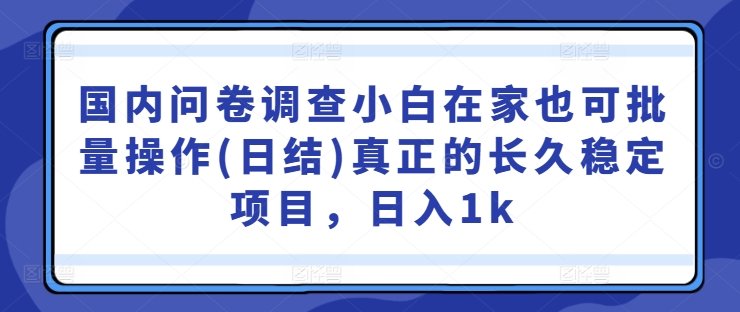 国内问卷调查小白在家也可批量操作(日结)真正的长久稳定项目，日入1k【揭秘】-资源宝库