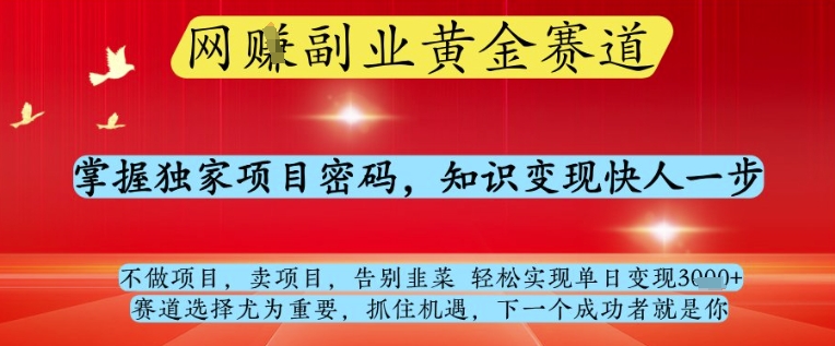网创副业黄全赛道，掌握独家项目密码，知识变现快人一步，告别韭菜轻松实现单日变现1k+【揭秘】-资源宝库