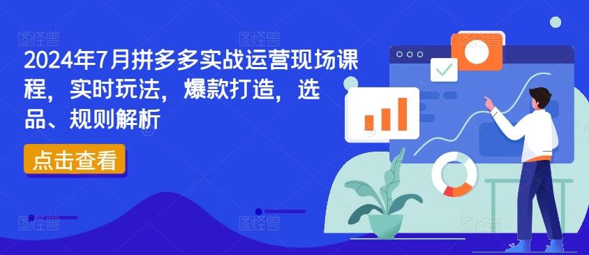 2024年7月拼多多实战运营现场课程，实时玩法，爆款打造，选品、规则解析-资源宝库