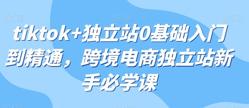 tiktok+独立站0基础入门到精通，跨境电商独立站新手必学课-资源宝库