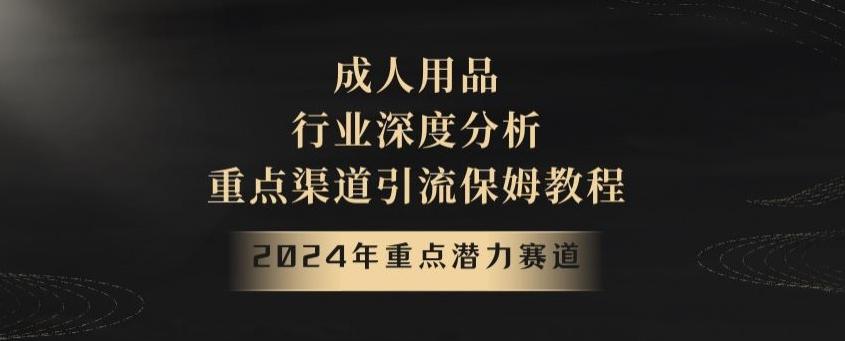 2024年重点潜力赛道，成人用品行业深度分析，重点渠道引流保姆教程【揭秘】-资源宝库