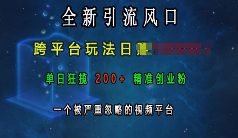 全新引流风口，跨平台玩法日入上k，单日狂揽200+精准创业粉，一个被严重忽略的视频平台-资源宝库