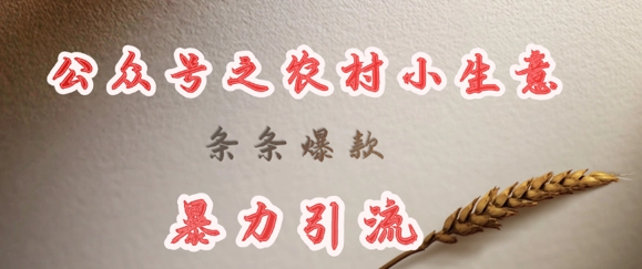 deepseek写农村小项目，条条爆款，暴力引流-资源宝库