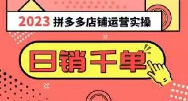 2023拼多多运营实操，每天30分钟日销1000＋，爆款选品技巧大全（10节课）-资源宝库