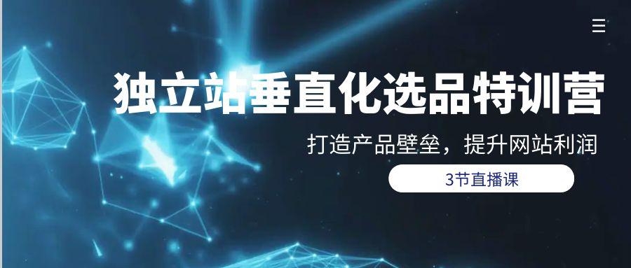 (9925期)独立站-垂直化选品训练营，打造产品壁垒，提升网站利润(3节直播课)-资源宝库