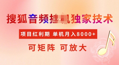 全网首发搜狐音频挂JI独家技术，项目红利期，可矩阵可放大，稳定月入8k【揭秘】-资源宝库