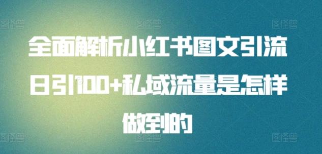 全面解析小红书图文引流日引100+私域流量是怎样做到的【揭秘】-资源宝库