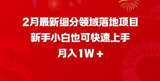 2月最新细分领域落地项目，新手小白也可快速上手，月入1W-资源宝库