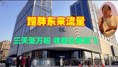 蹭胖东来流量，三天涨万粉，收益直接起飞-资源宝库