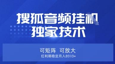 【搜狐音频挂G】独家技术，可矩阵可放大，红利期稳定月入8k【揭秘】-资源宝库