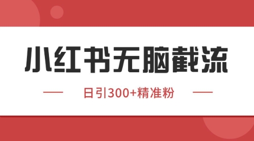 小红书只要你有同行就能获客，独家野路子获客玩法，暴力截流【揭秘】-资源宝库