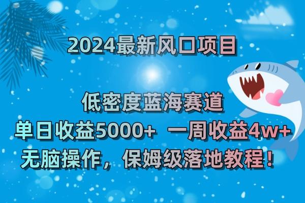 (8545期)2024最新风口项目 低密度蓝海赛道，日收益5000+周收益4w+ 无脑操作，保…-资源宝库