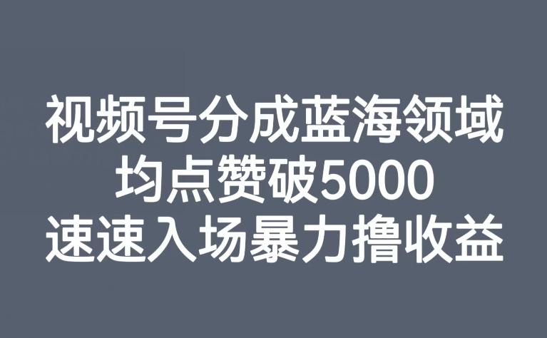 视频号分成蓝海领域，均点赞破5000，速速入场暴力撸收益-资源宝库