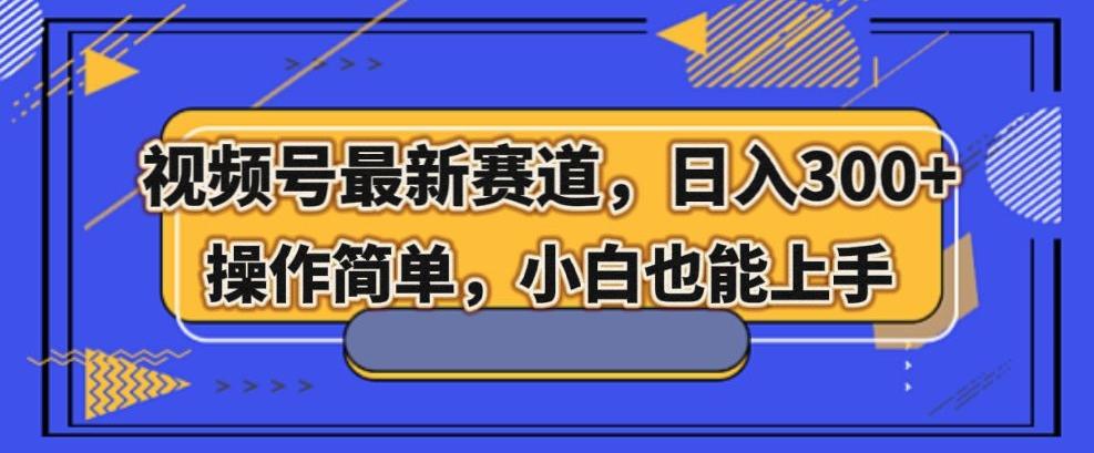 视频号最新赛道，日入300+，新手小白轻松掌握-资源宝库