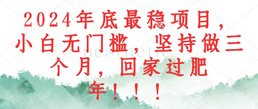 2024年底最稳项目，小白无门槛，坚持做三个月，回家过肥年！！！-资源宝库