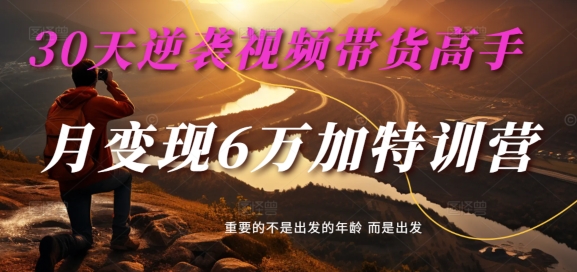 30天逆袭视频带货高手，单月变现6万加特训营-麦子甜-资源宝库