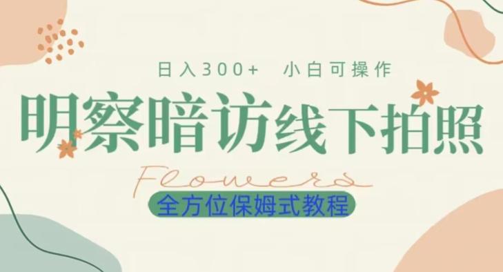 明拍暗拍项目0成本投入日入300+小白可操作保姆式全方位教程-资源宝库