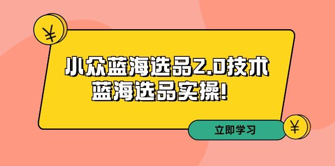 拼多多培训第33期：小众蓝海选品2.0技术-蓝海选品实操！-资源宝库