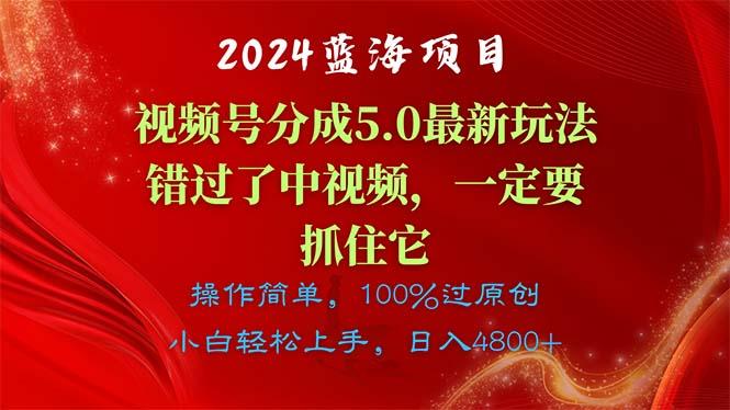 2024蓝海项目，视频号分成计划5.0最新玩法，错过了中视频，一定要抓住…-资源宝库