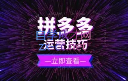力辛电商·拼多多强付费店群玩法-资源宝库