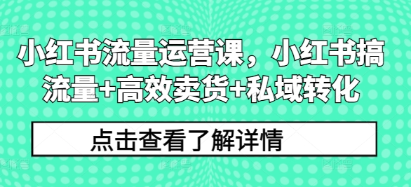 小红书流量运营课,小红书搞流量+高效卖货+私域转化