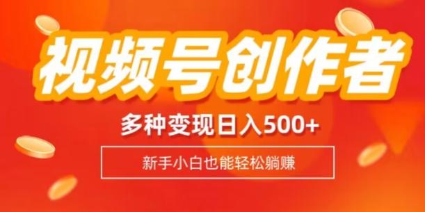 视频号创作者计划，多种变现方式，日入500+【内附1080g视频素材】-资源宝库