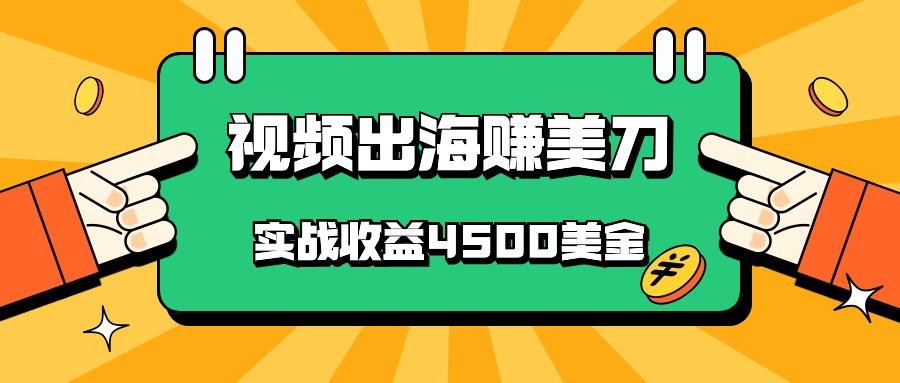 国内爆款视频出海赚美刀,实战收益4500美金,批量无脑搬运,无需经验直接上手-资源宝库