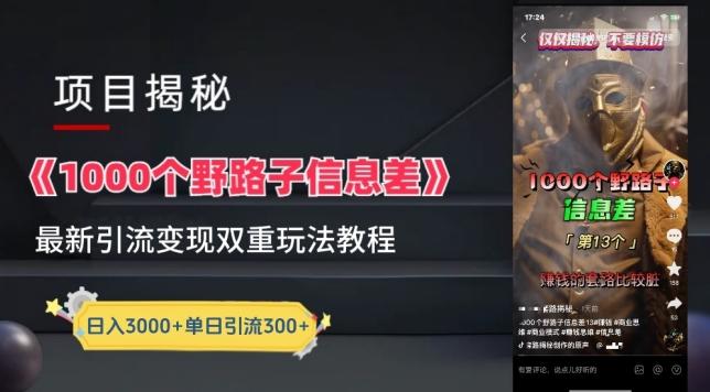 一千个野路子信息差最新玩法教程-变现+引流的玩法具体拆解【揭秘】-资源宝库