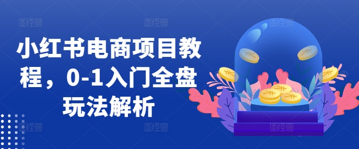 小红书电商项目教程,0-1入门全盘玩法解析