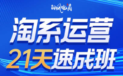 淘系运营21天速成班(更新9月)-资源宝库